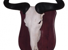 Wildebeest skull on shield