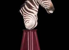 Zebra pedestal mount