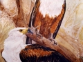fish-eagles