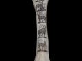elephant leg bone - scrimshawed
