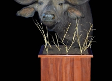 Buffalo pedestal mount on square base