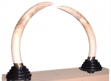 tusks on 4 tier round bases