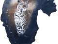 belinda-marshall-leopard-stance
