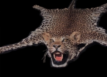 Leopard Rug Mount