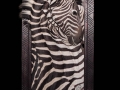 Zebra Toile