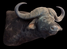 buffalo wall pedesal mount